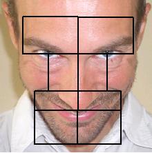 Facial lineaments symmetry