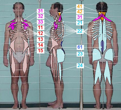 Mandible Retruding Postural Strategy